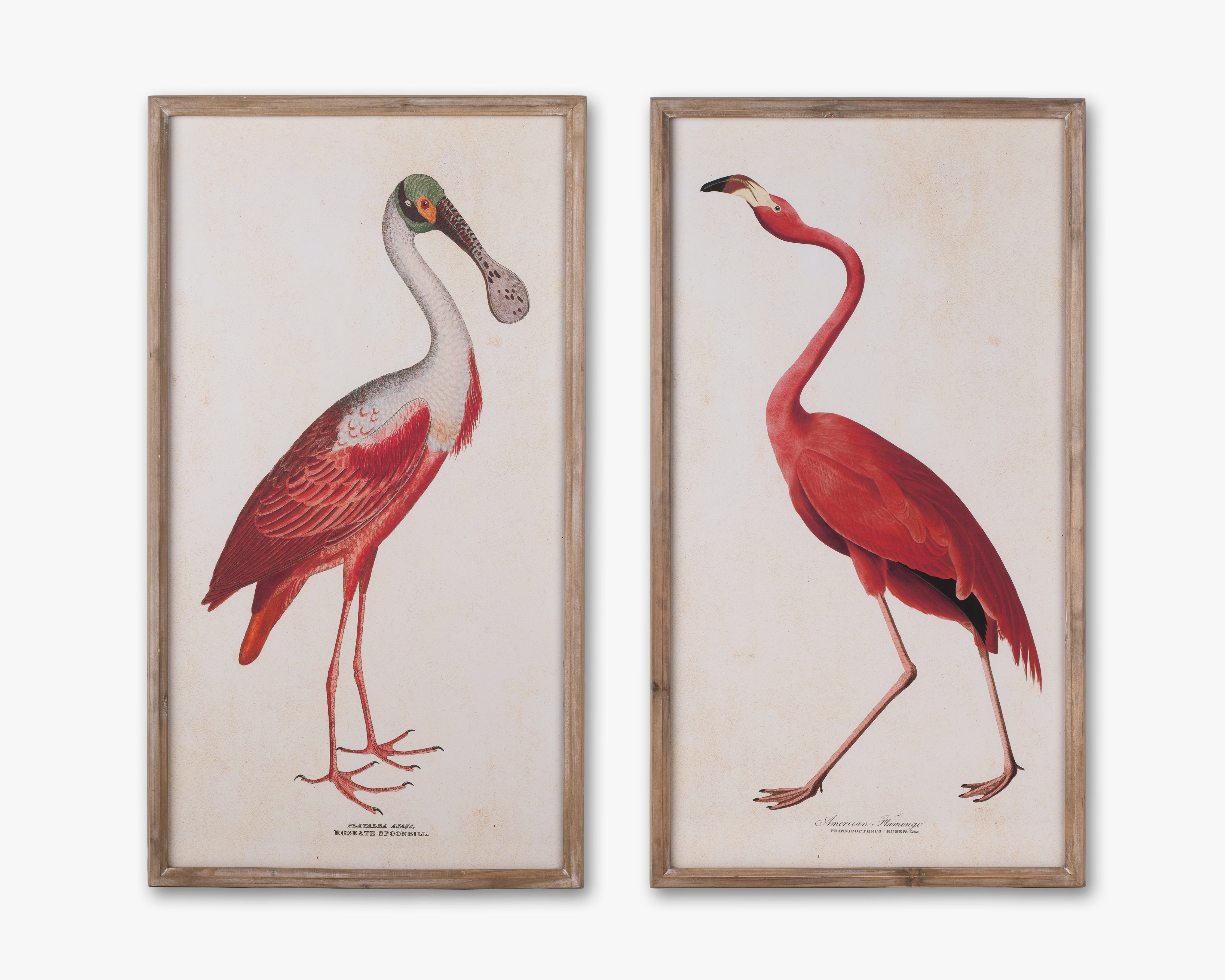 Flamingo Framed Wall Art B