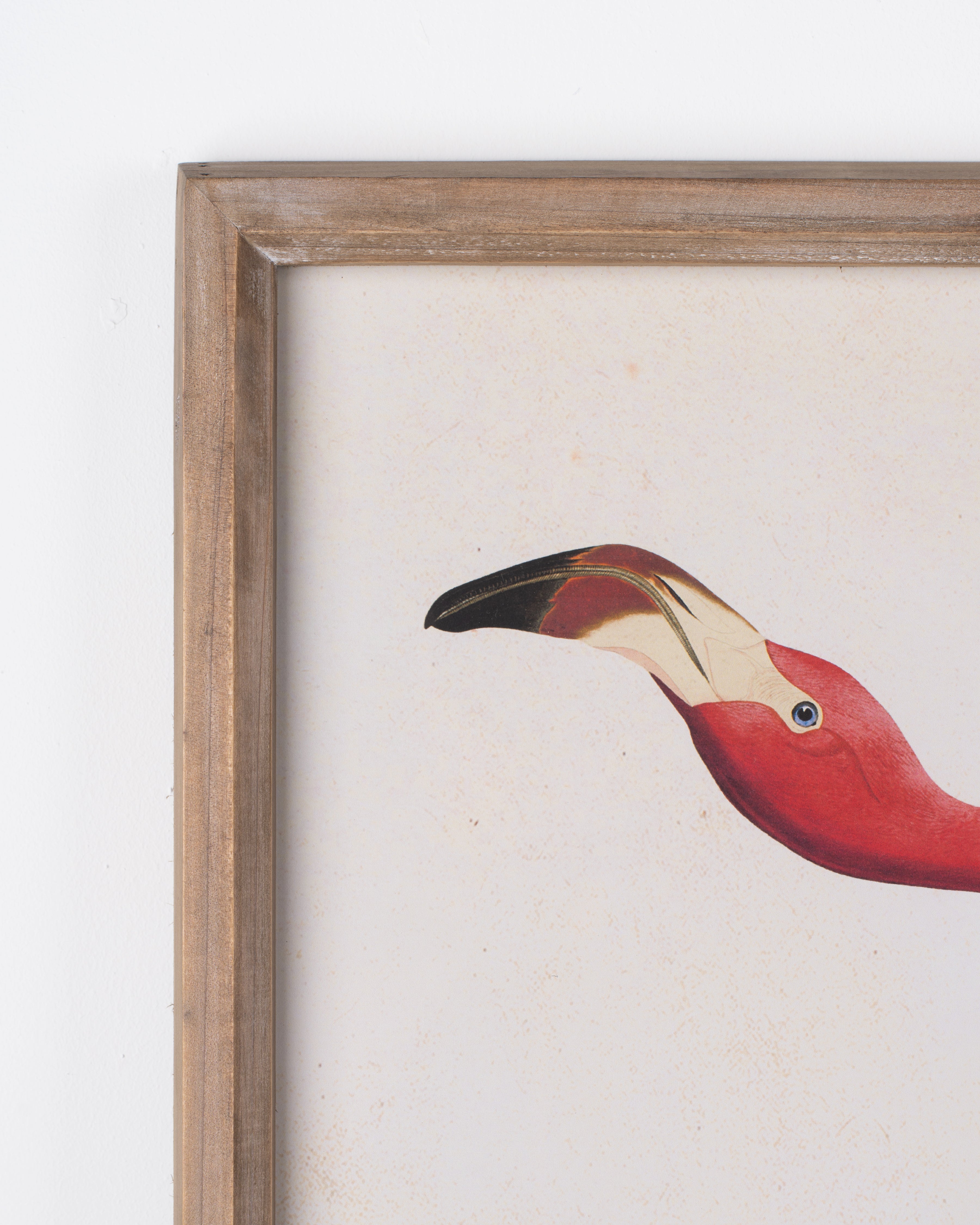 Flamingo Framed Wall Art B