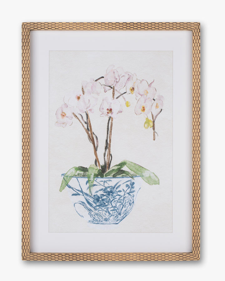 Orchid Framed Wall Art A