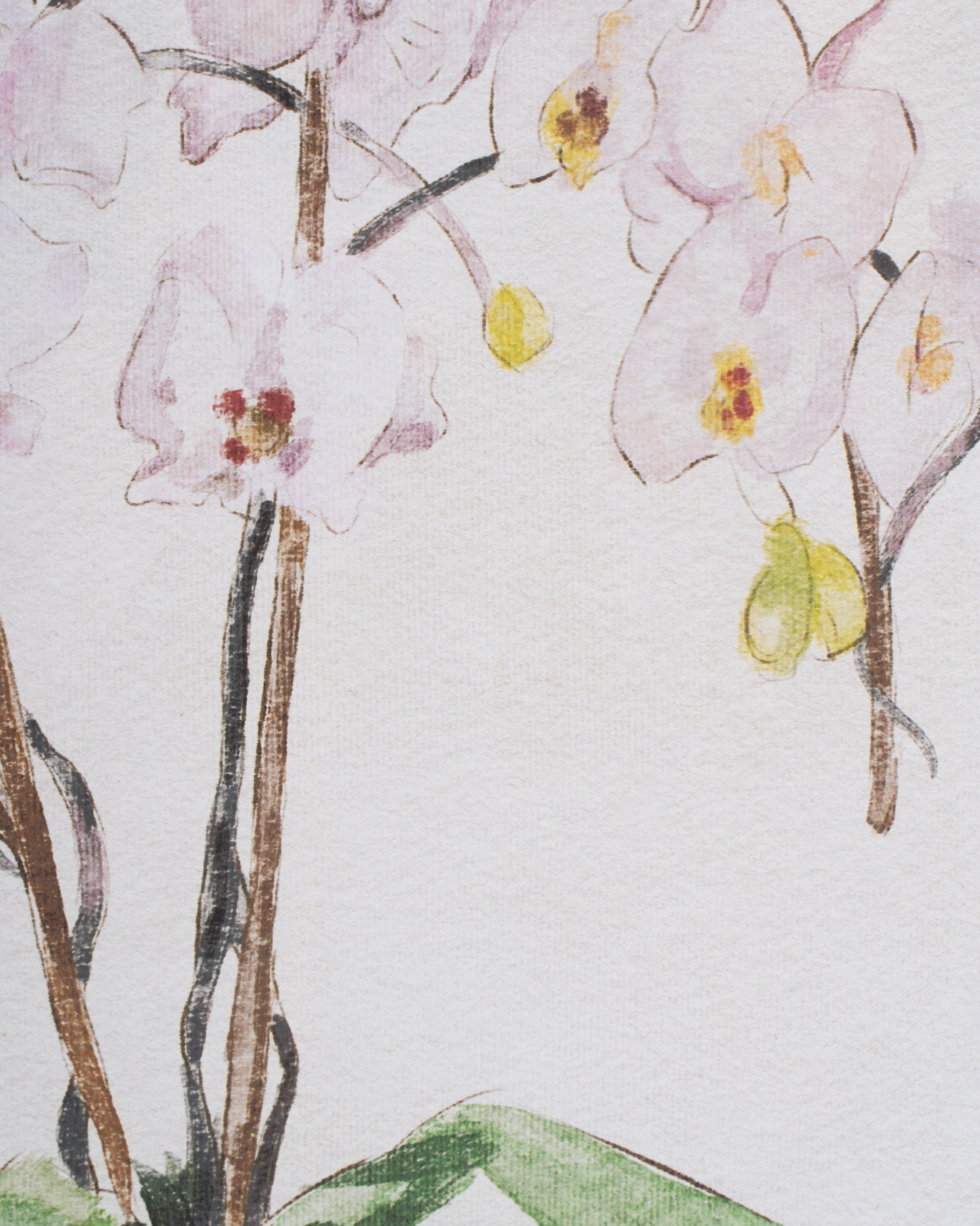 Orchid Framed Wall Art A