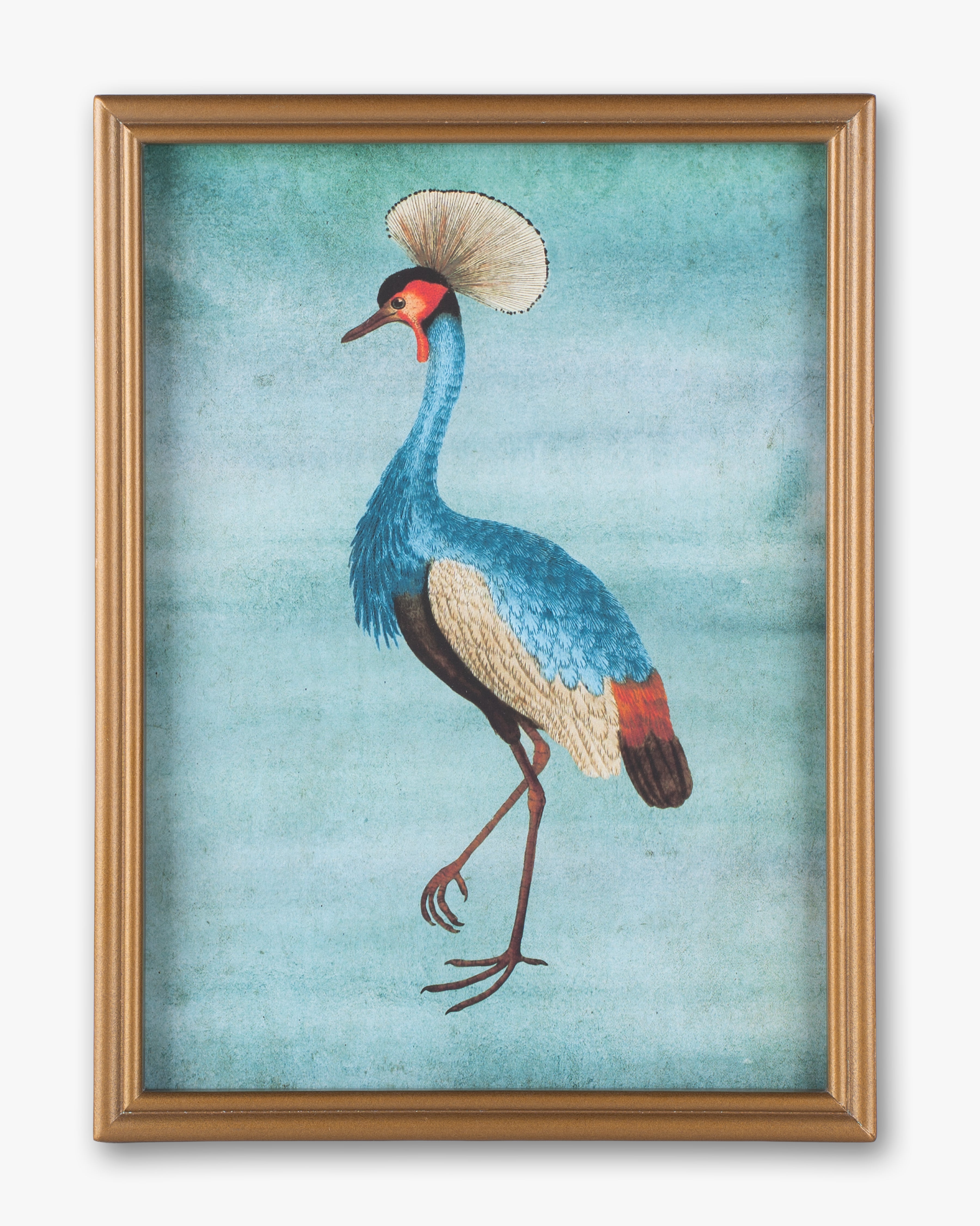 Bird Framed Wall Art B