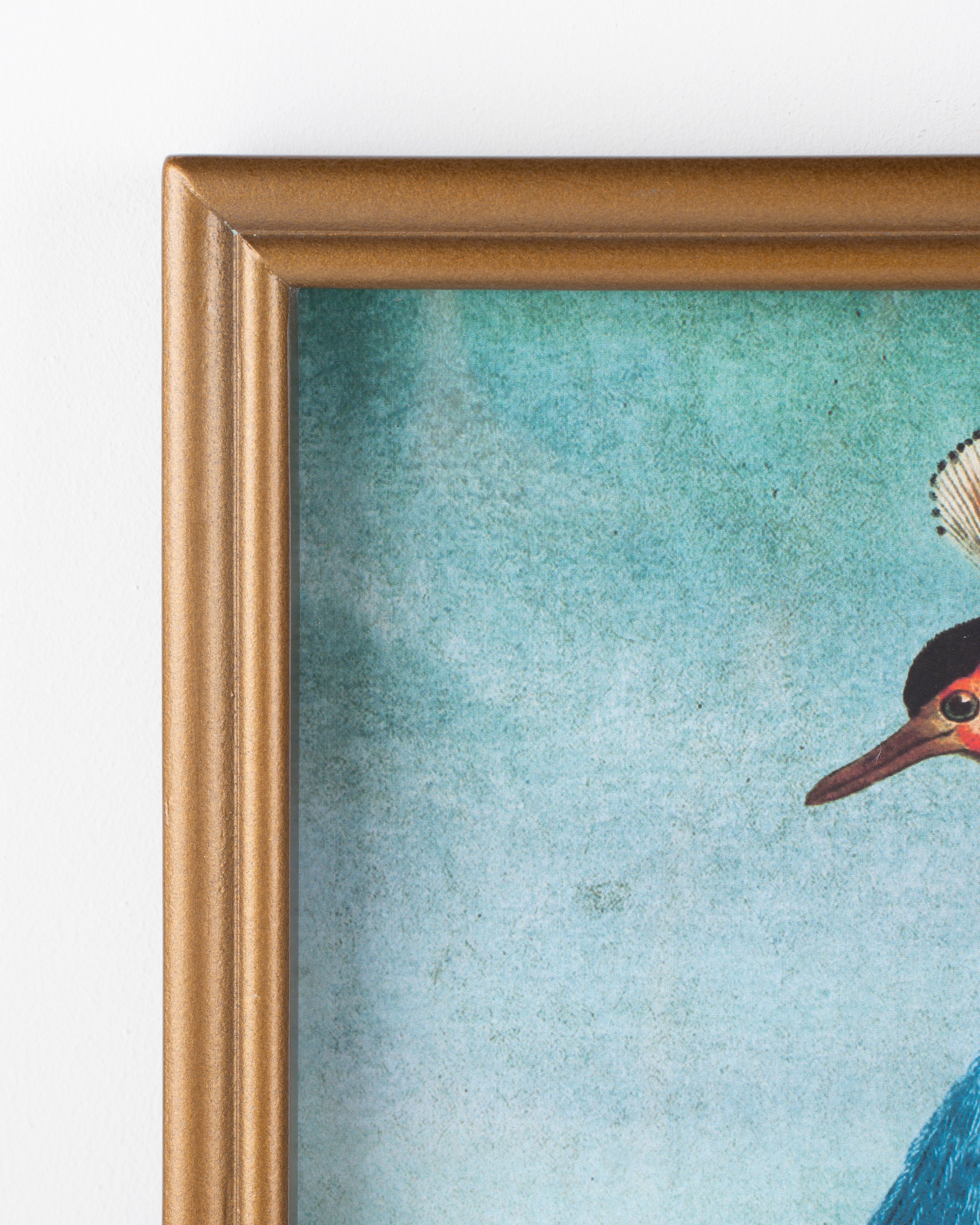 Bird Framed Wall Art A