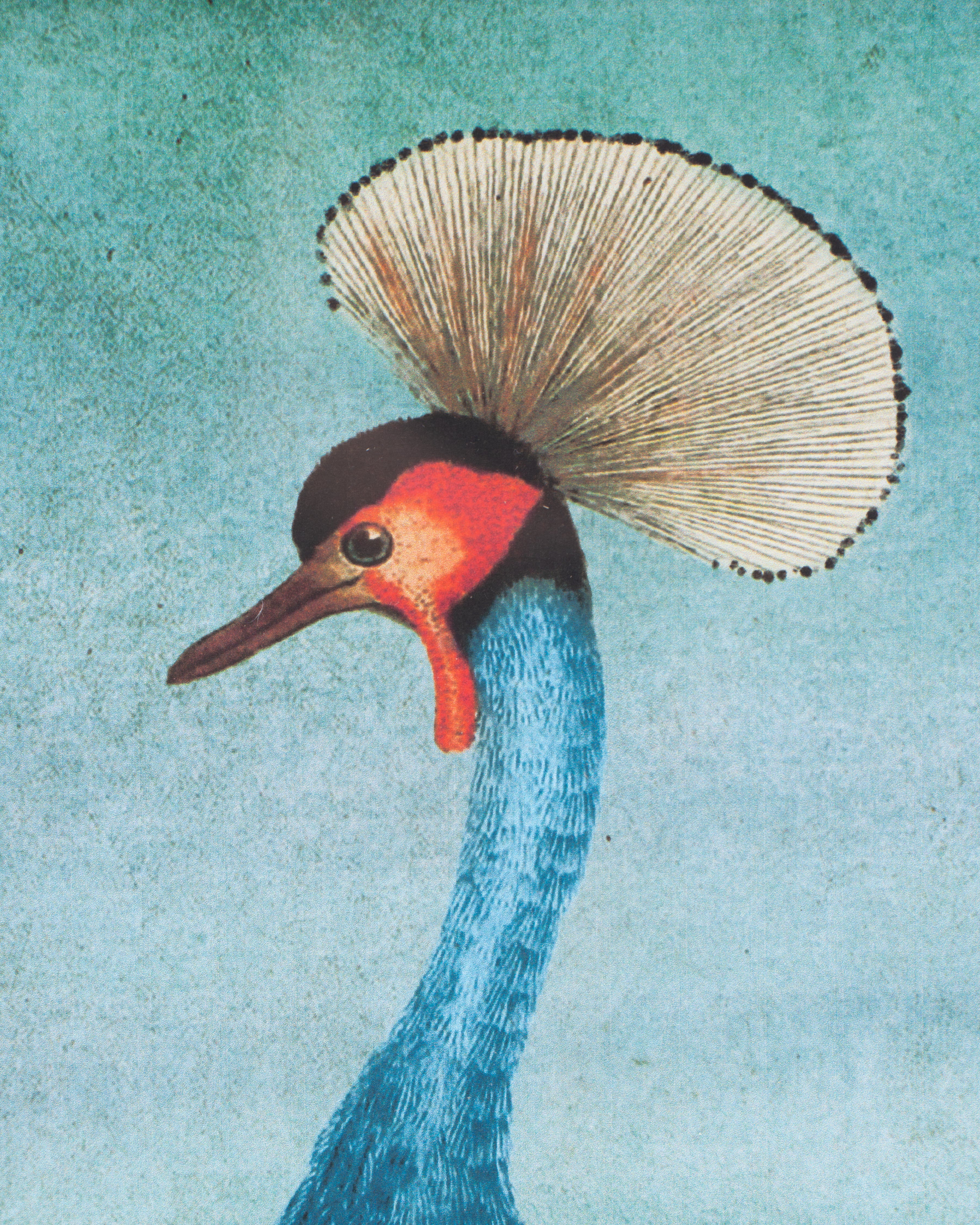 Bird Framed Wall Art A