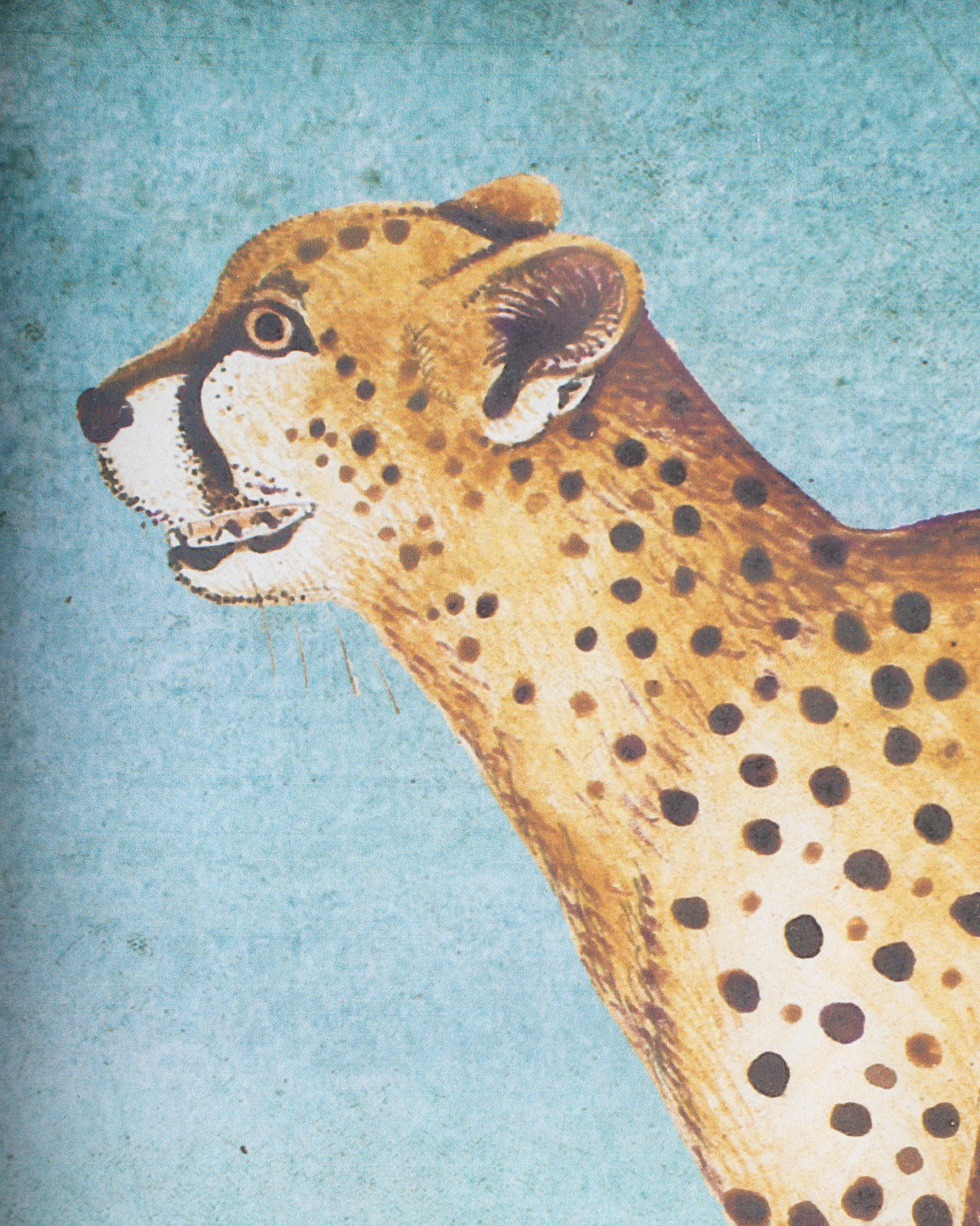Cheetah Framed Wall Art