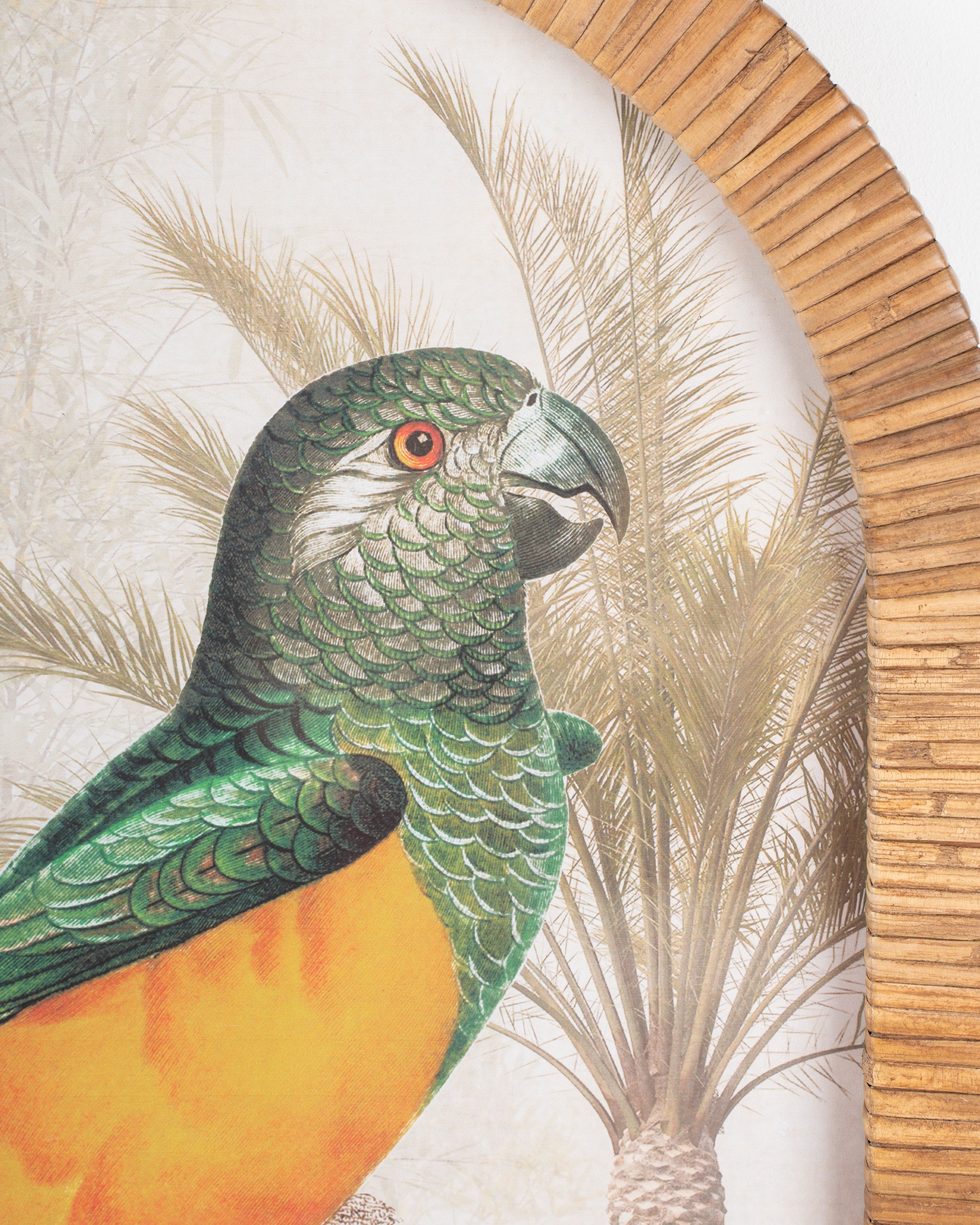 Parrot Framed Wall Art A