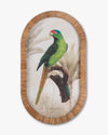 Parrot Framed Wall Art B