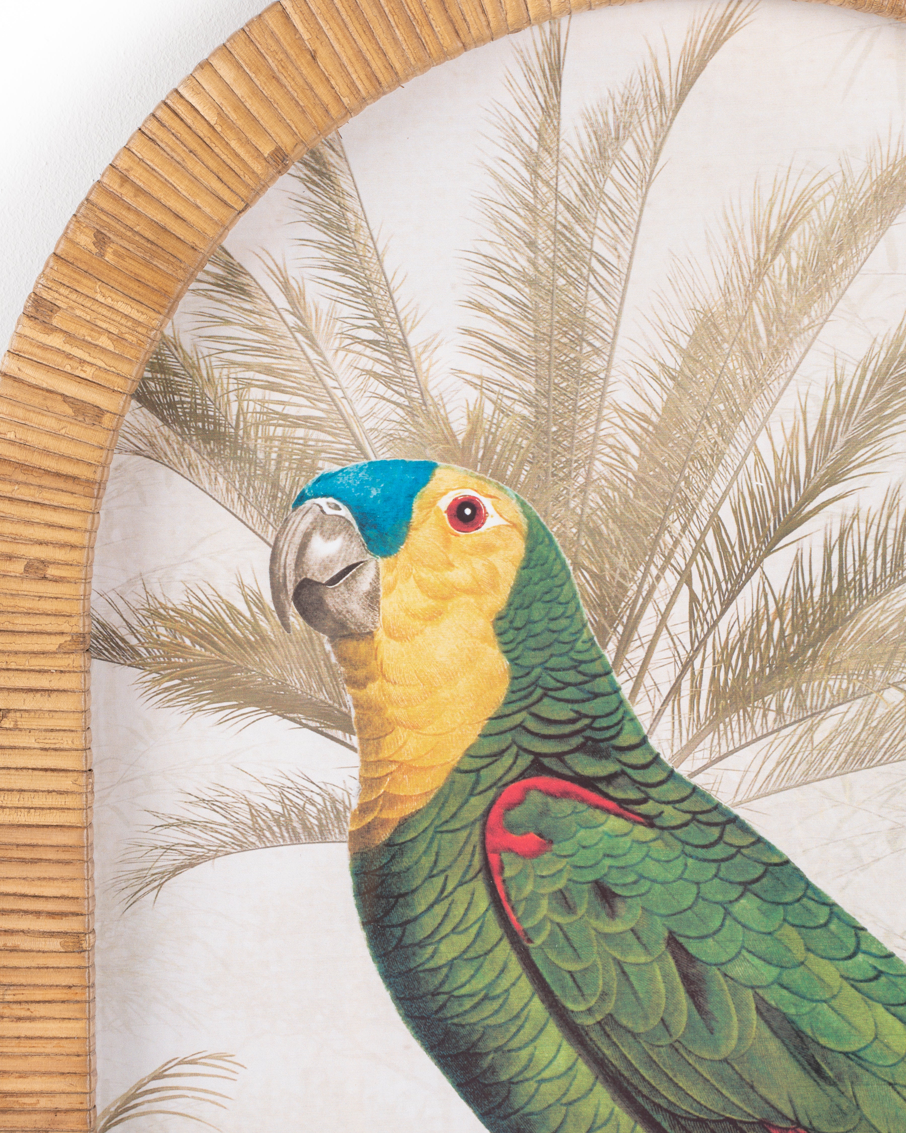 Parrot Framed Wall Art C