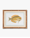 Fish Framed Wall Art A