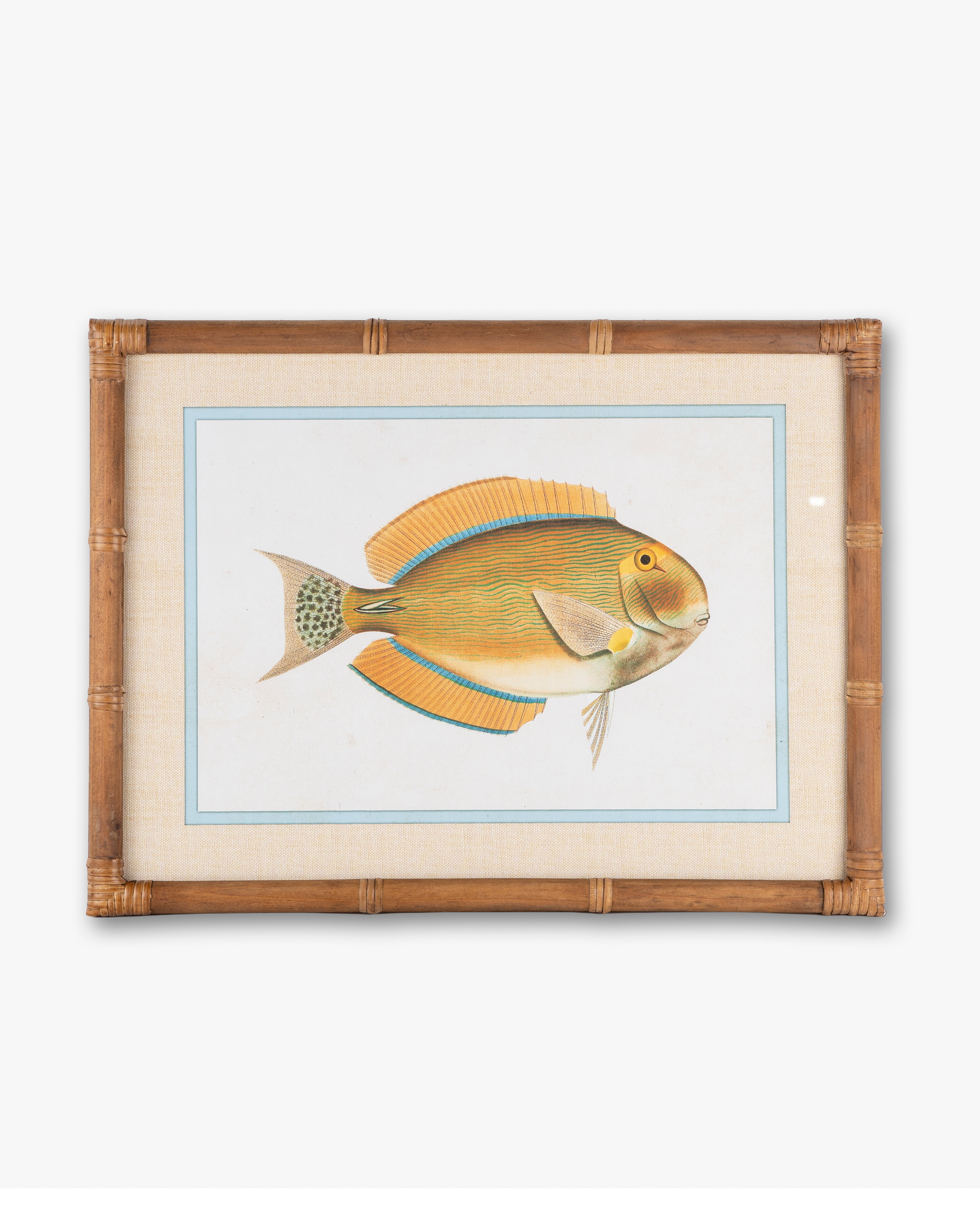 Fish Framed Wall Art A