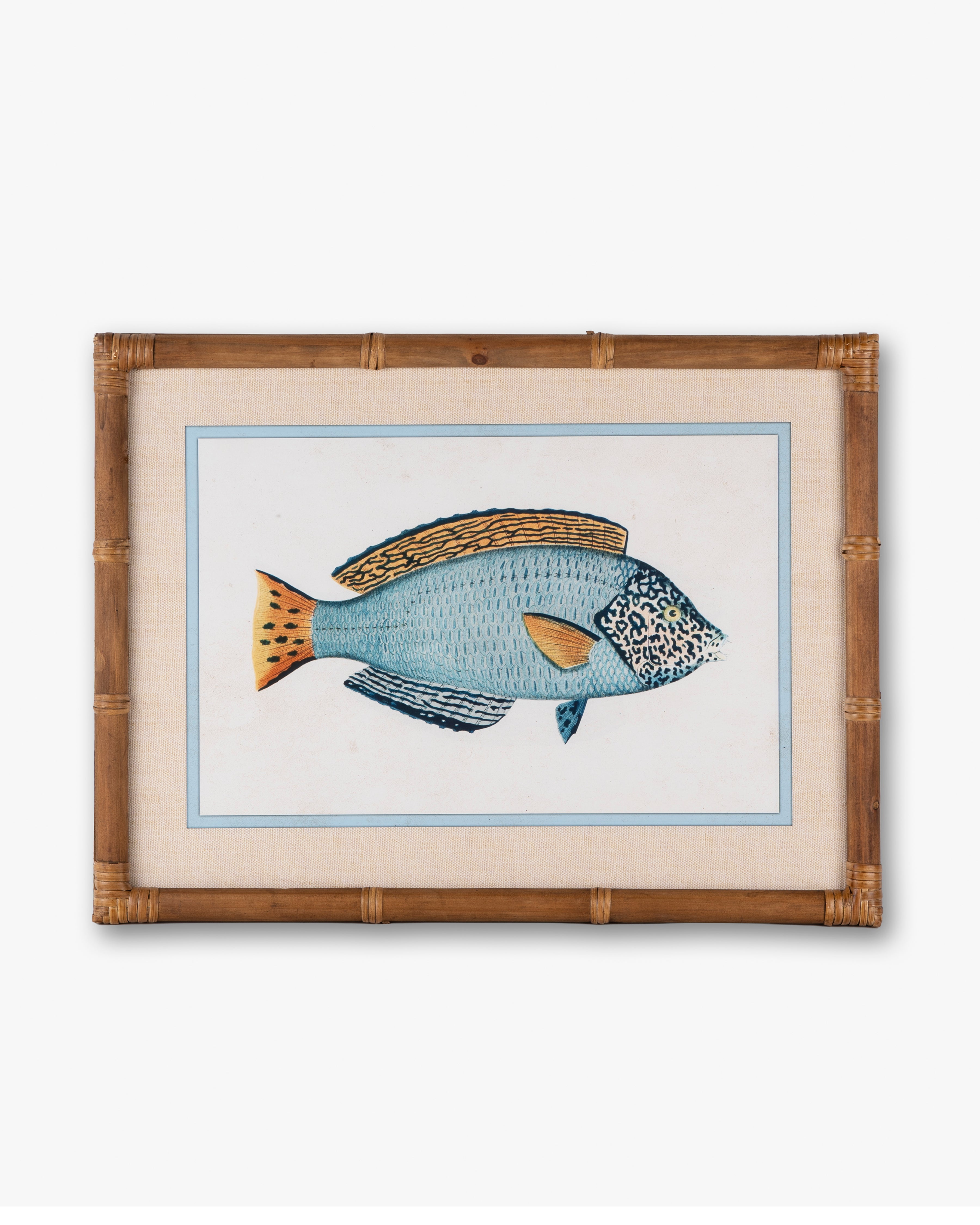 Fish Framed Wall Art C