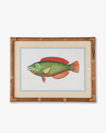 Fish Framed Wall Art D