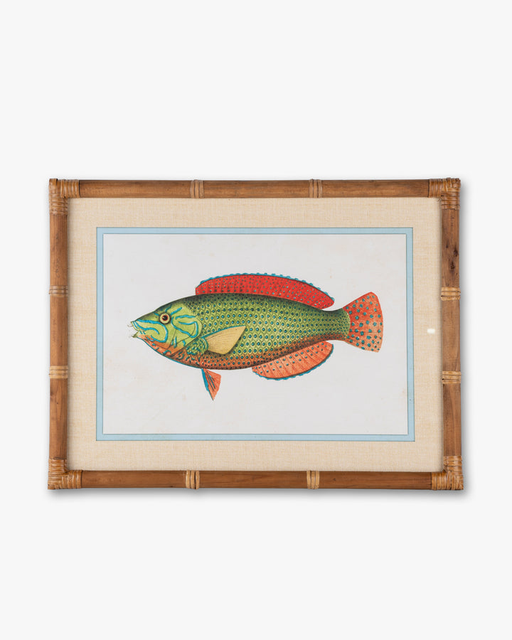 Fish Framed Wall Art D