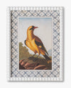 Vintage Songbird framed Wall Art B