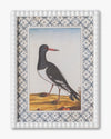 Vintage Songbird framed Wall Art C