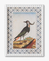 Vintage Songbird framed Wall Art D