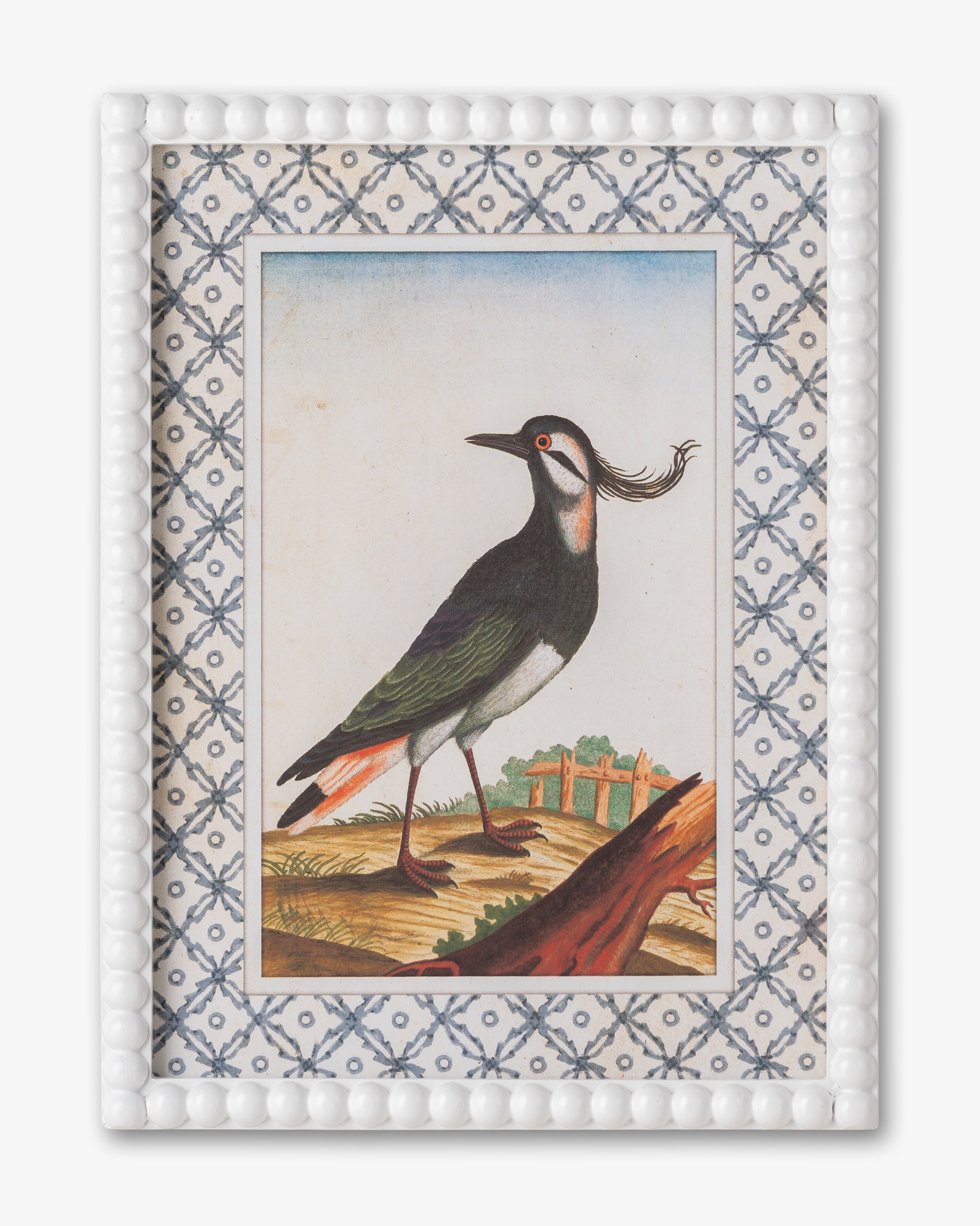 Vintage Songbird framed Wall Art D