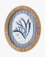 Coral Framed Wall Art A