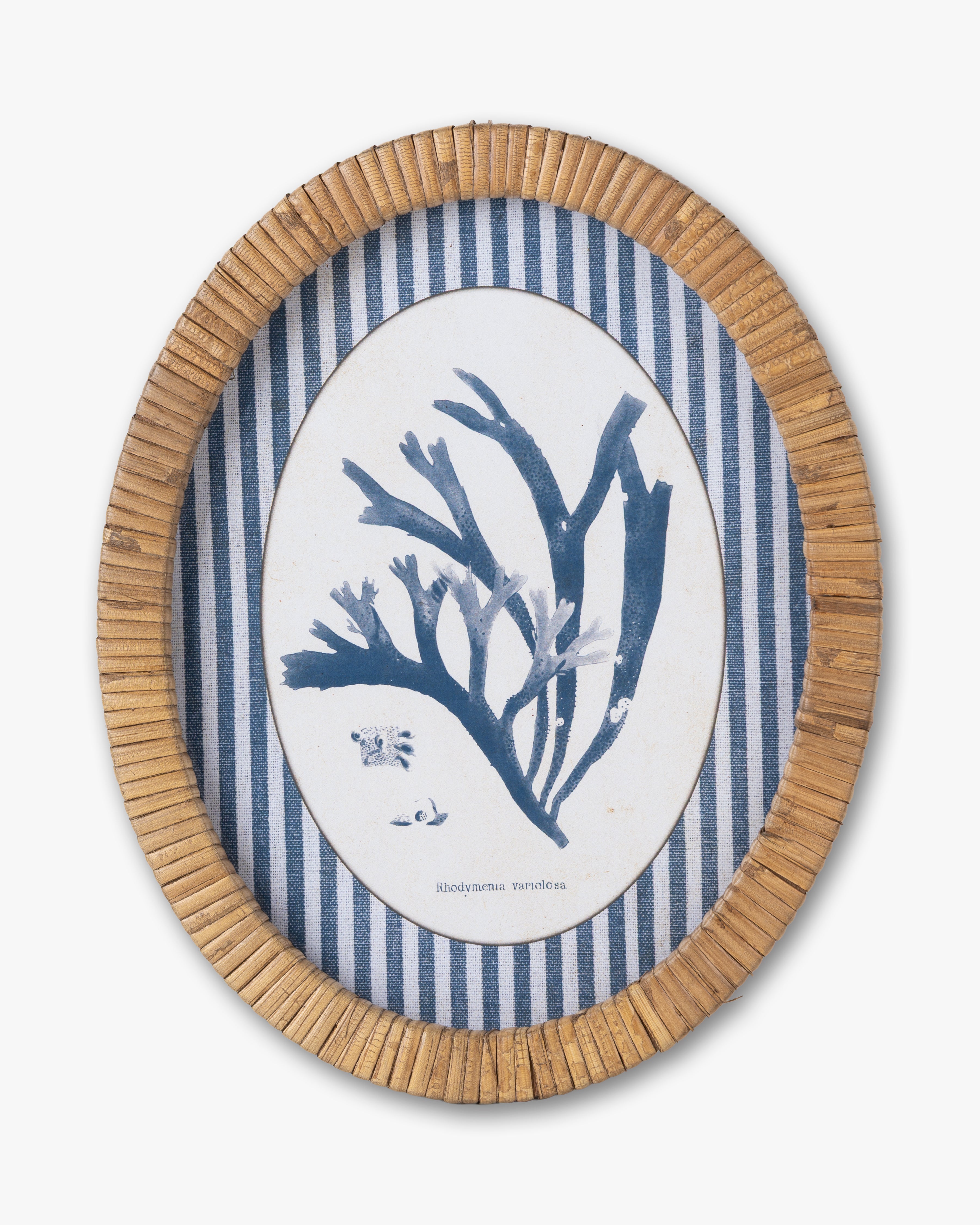 Coral Framed Wall Art A