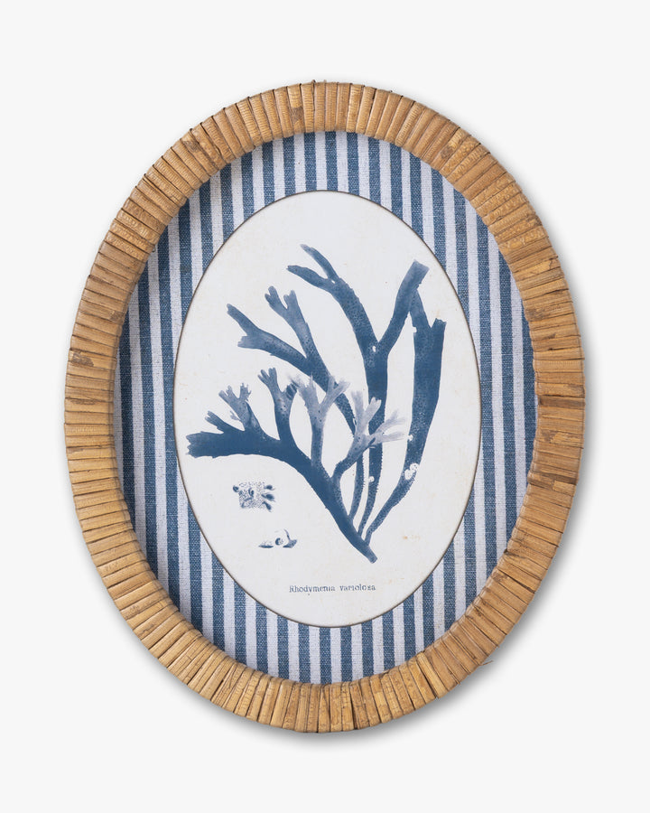 Coral Framed Wall Art A