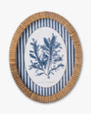 Coral Framed Wall Art B