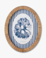 Coral Framed Wall Art D