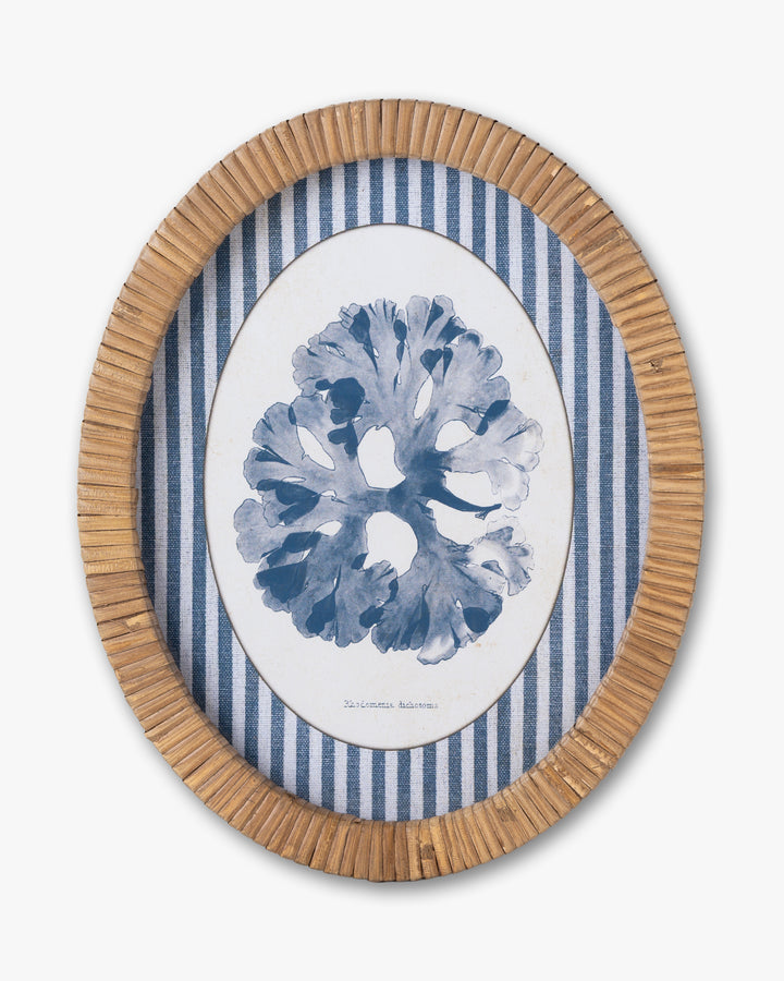 Coral Framed Wall Art D