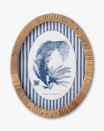 Coral Framed Wall Art D