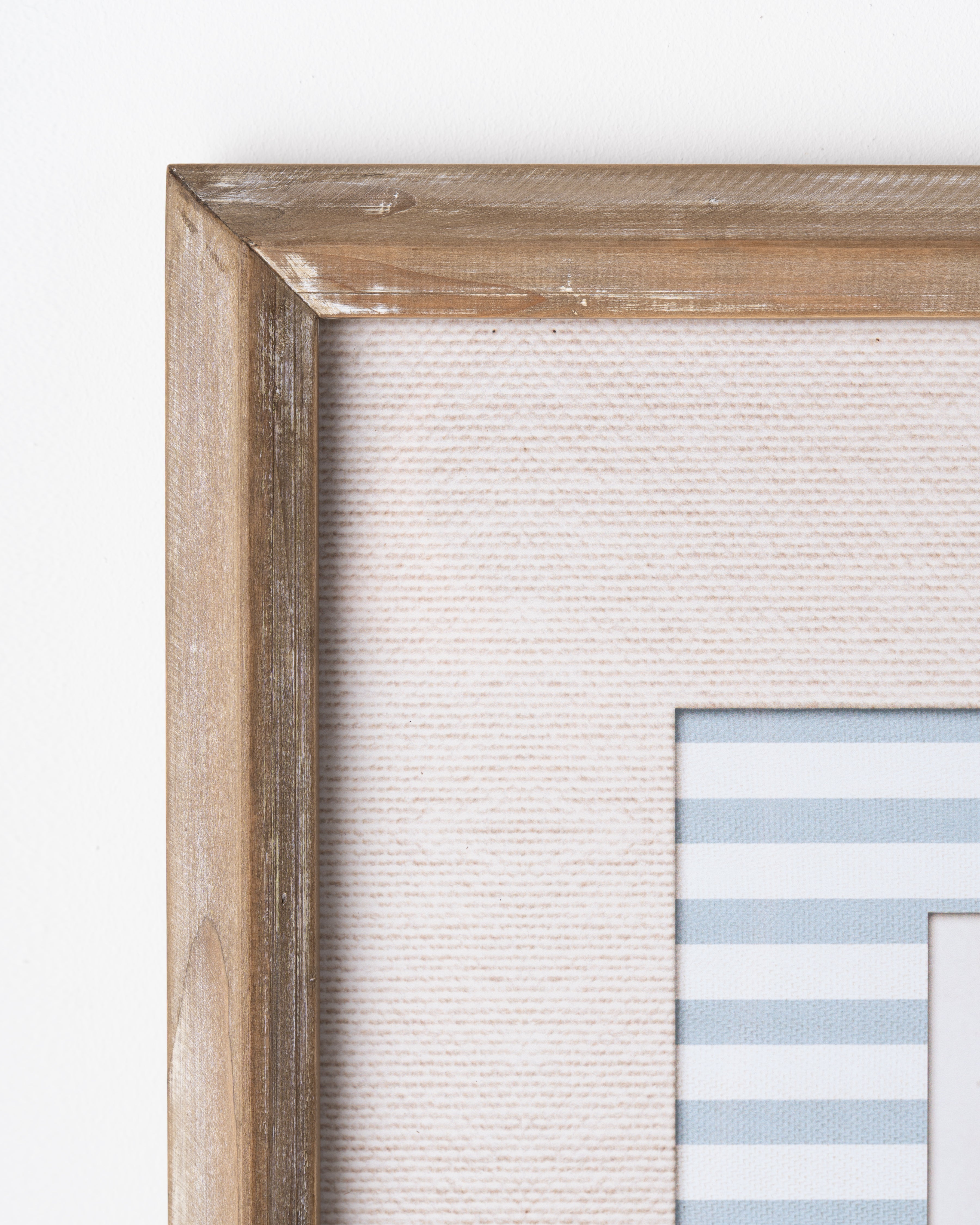 Naturalist Bird Framed Wall Art A