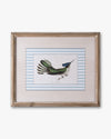 Naturalist Bird Framed Wall Art B