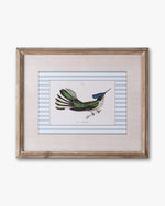 Naturalist Bird Framed Wall Art B