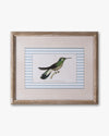 Naturalist Bird Framed Wall Art C