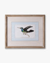 Naturalist Bird Framed Wall Art D