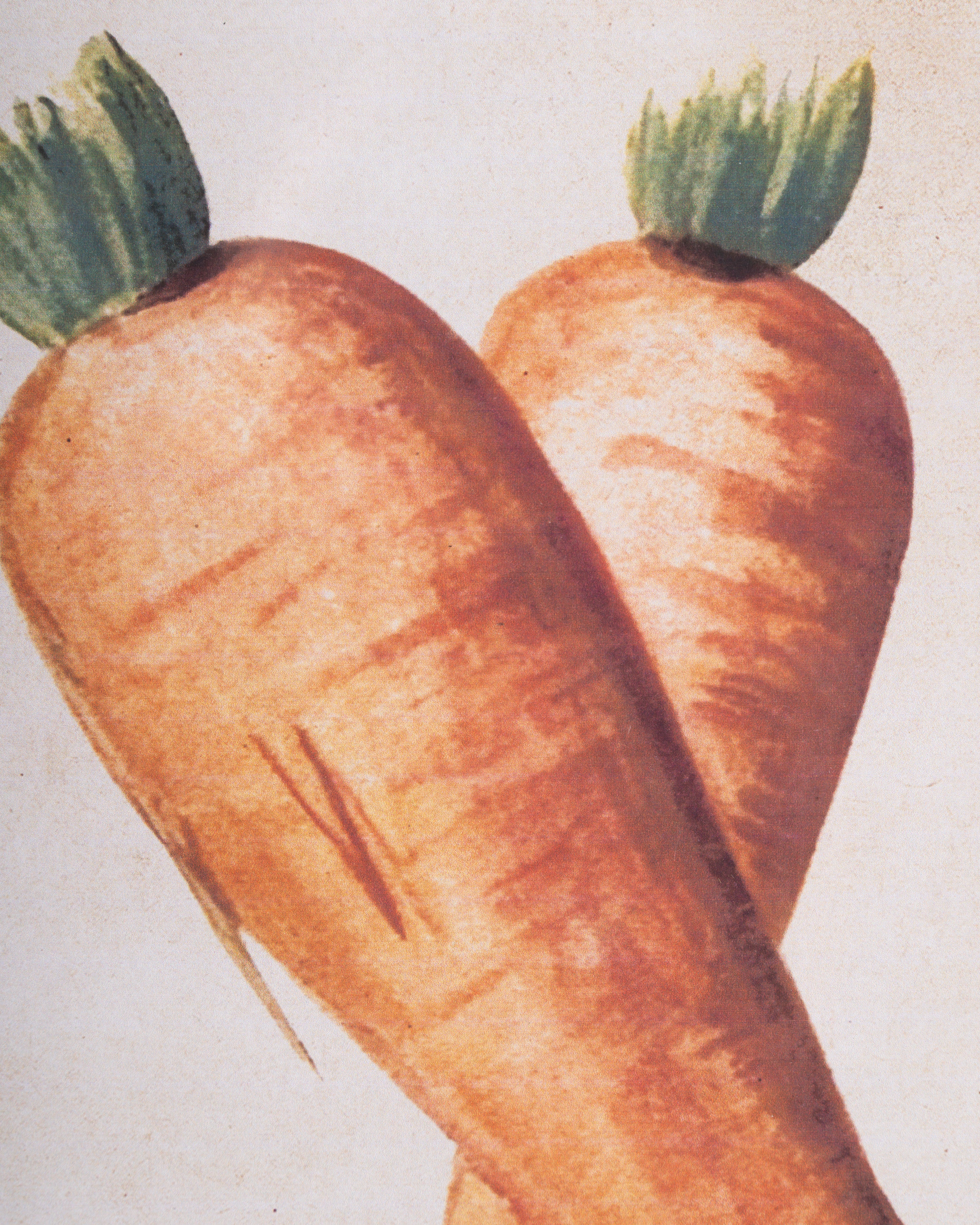 Garden Harvest Wall Art B