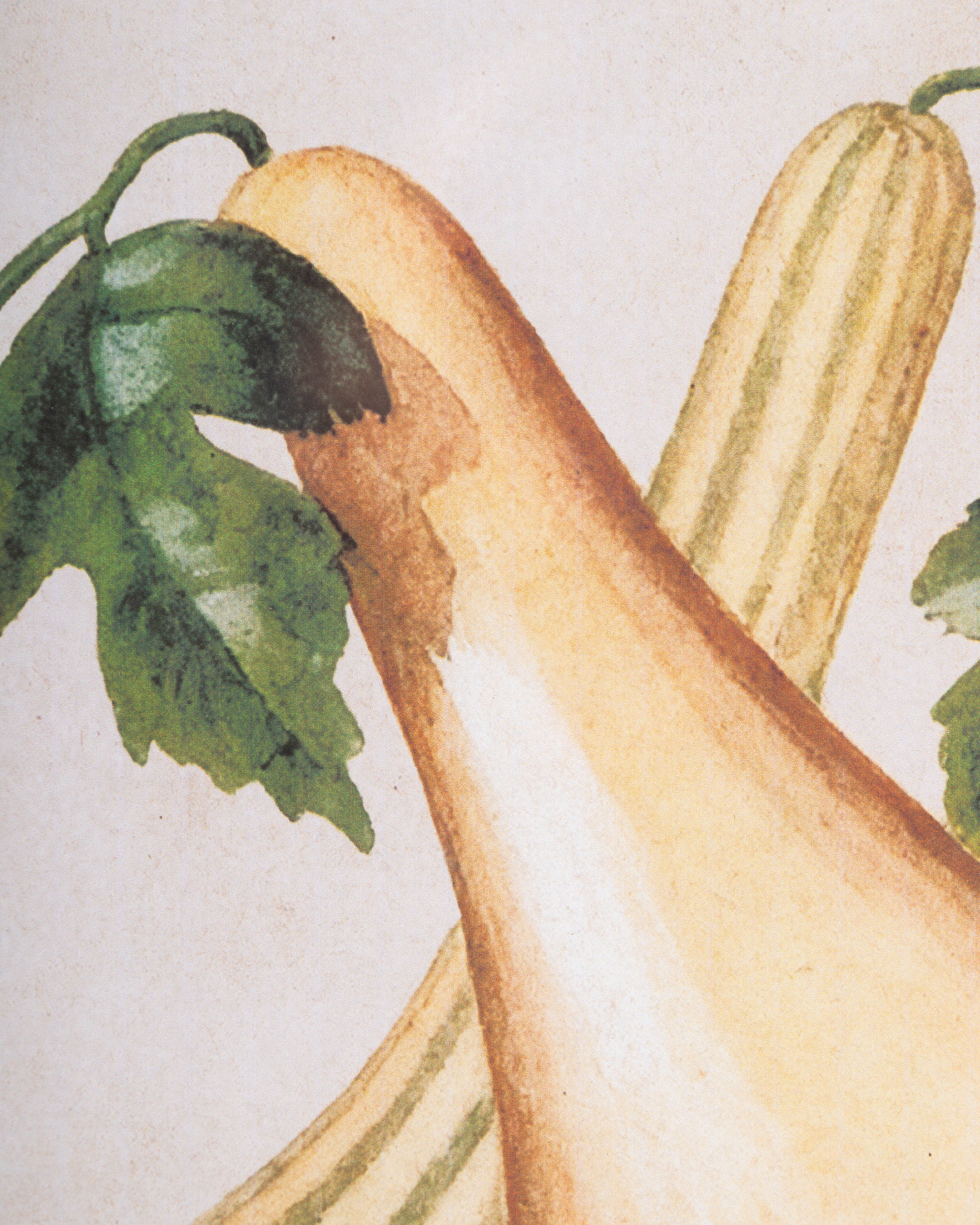Garden Harvest Wall Art C