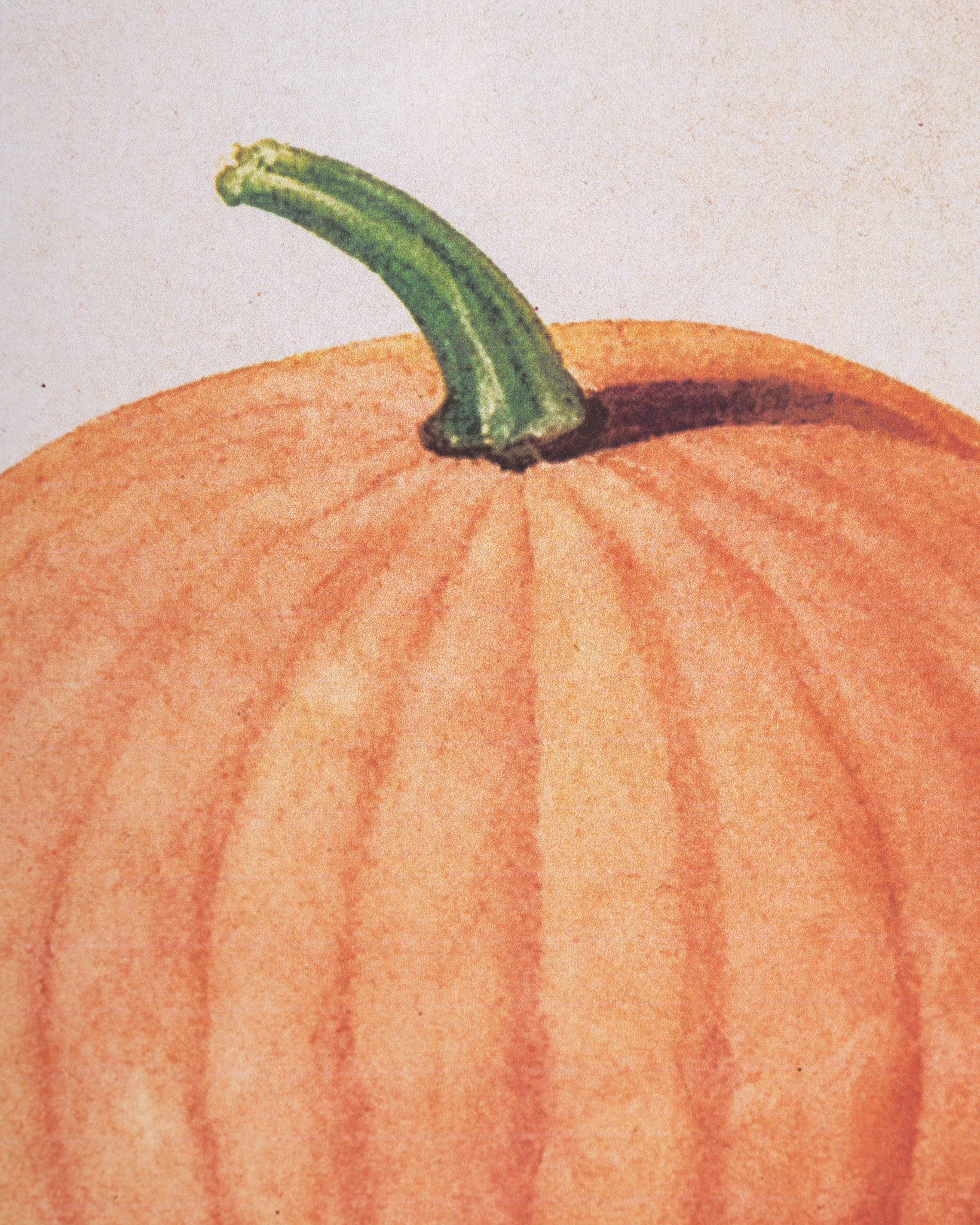 Garden Harvest Wall Art G