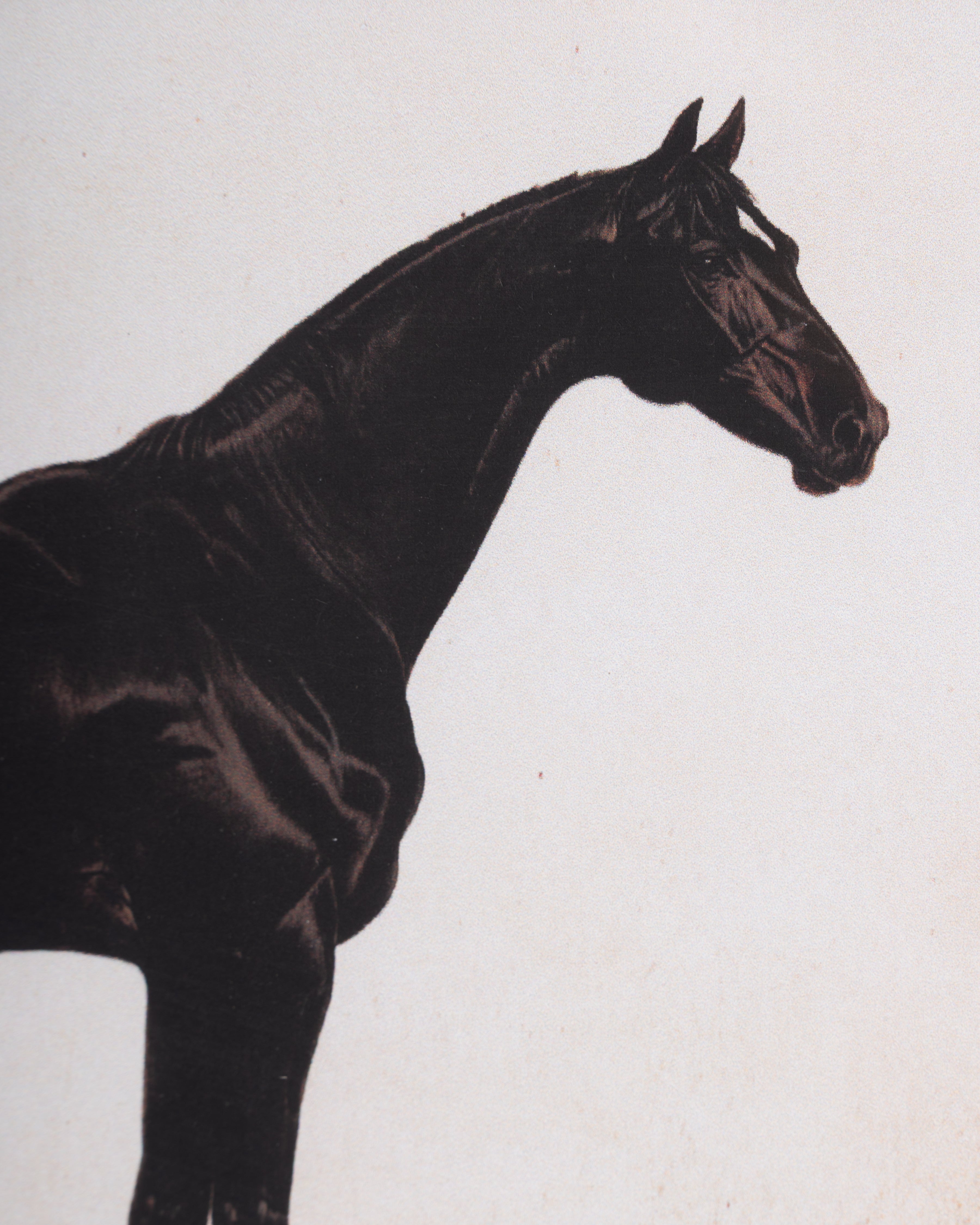 Horse Framed Wall Art C