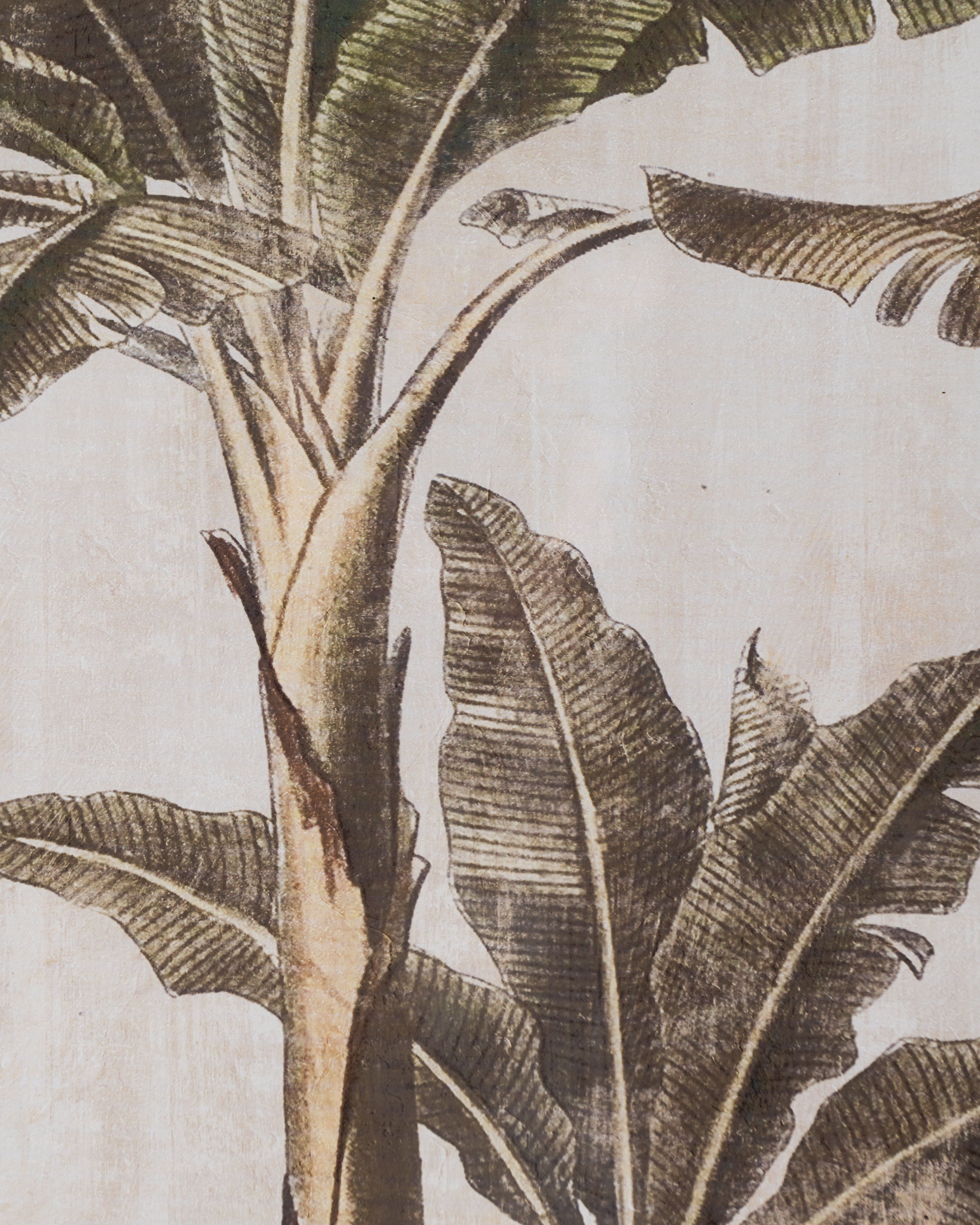 Banana Tree Framed Wall Art A