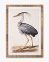 Water Bird Framed Wall Art A