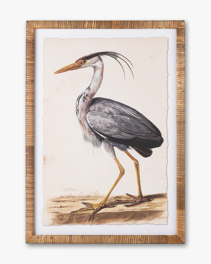 Water Bird Framed Wall Art A