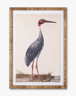 Water Bird Framed Wall Art B