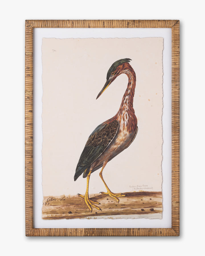 Water Bird Framed Wall Art C