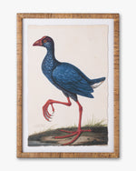 Water Bird Framed Wall Art D