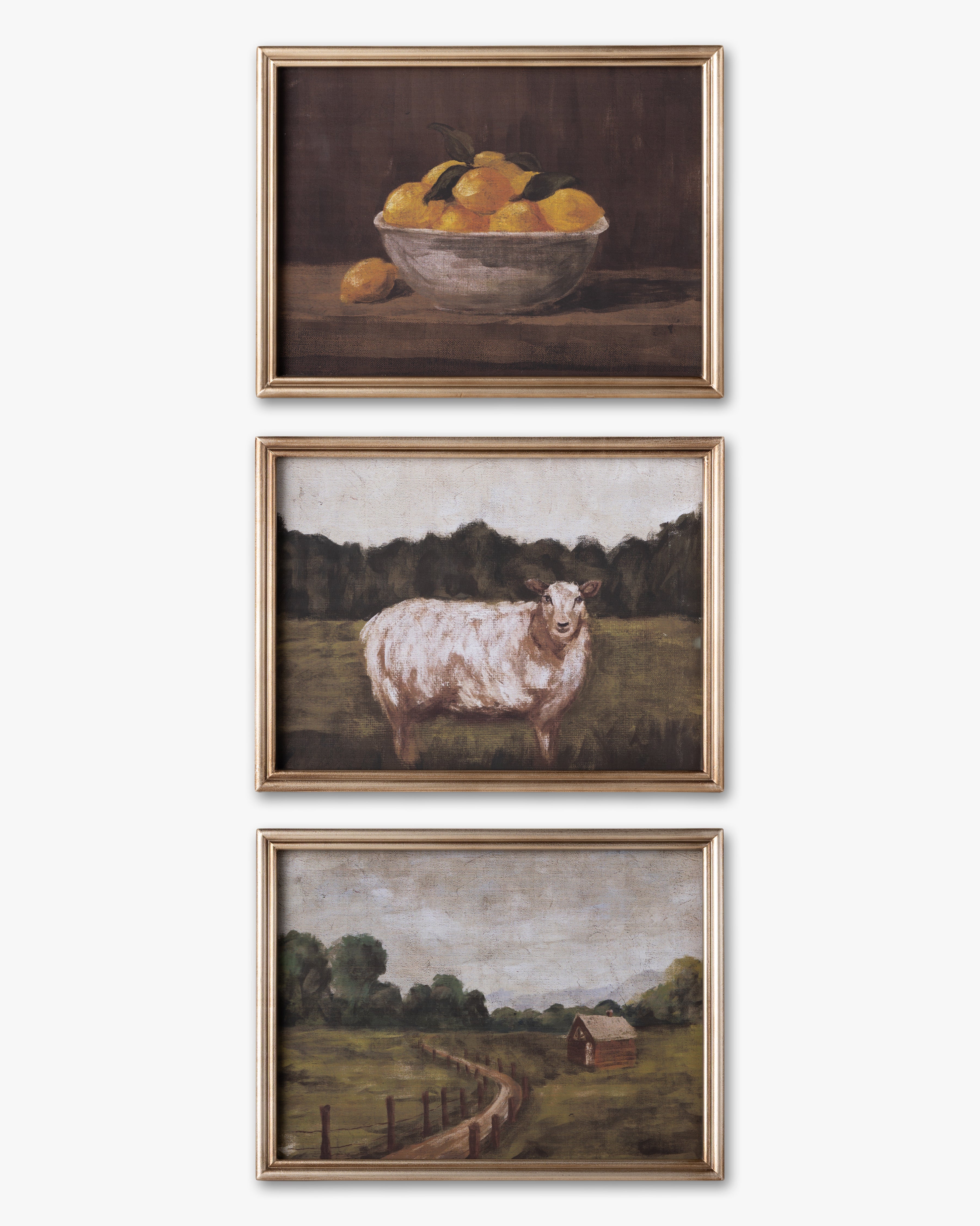 Still Life Framed Wall Art C