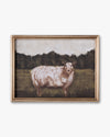 Still Life Framed Wall Art C