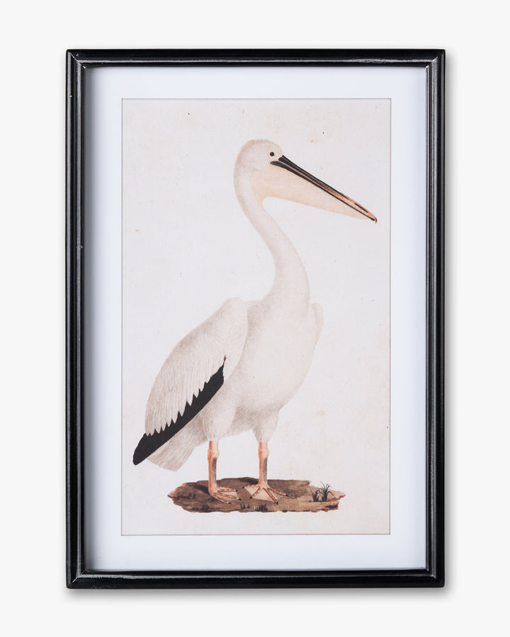 Antique Bird Framed Wall Art B