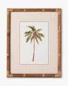 Tropical Palm Framed Wall Art A