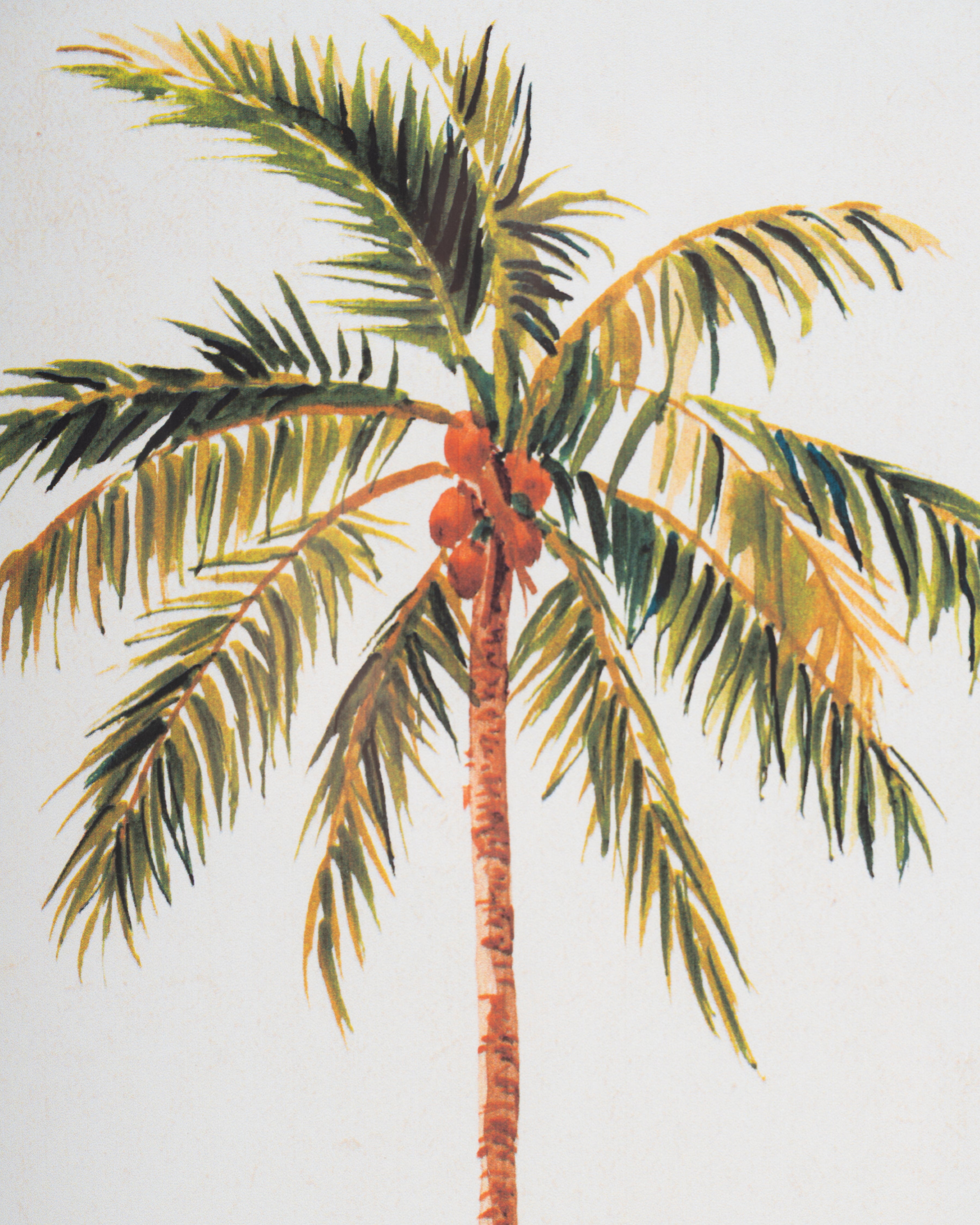 Tropical Palm Framed Wall Art A