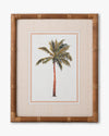 Tropical Palm Framed Wall Art B