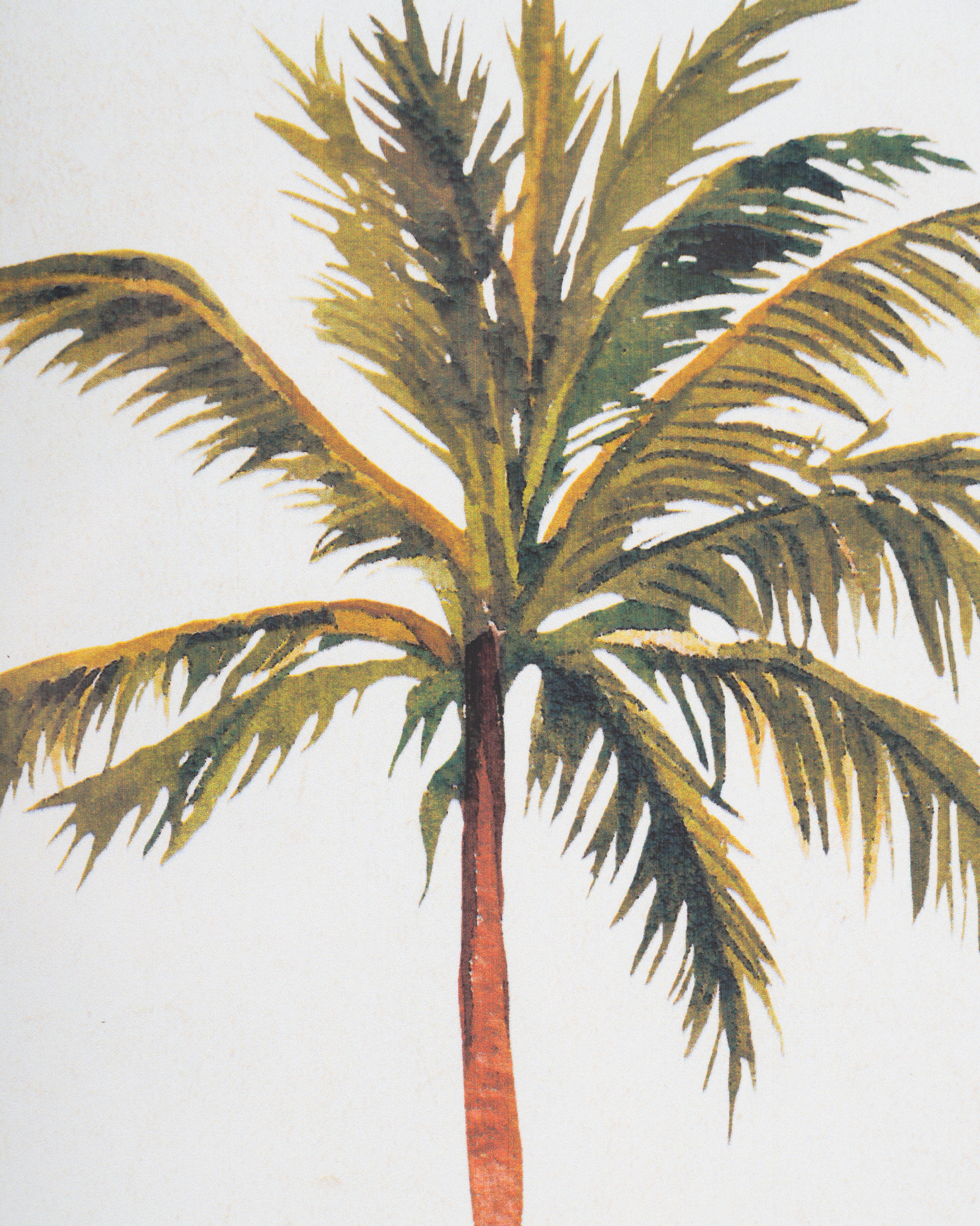 Tropical Palm Framed Wall Art B
