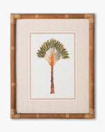 Tropical Palm Framed Wall Art C